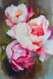 Pivoines - Sandrine Gay